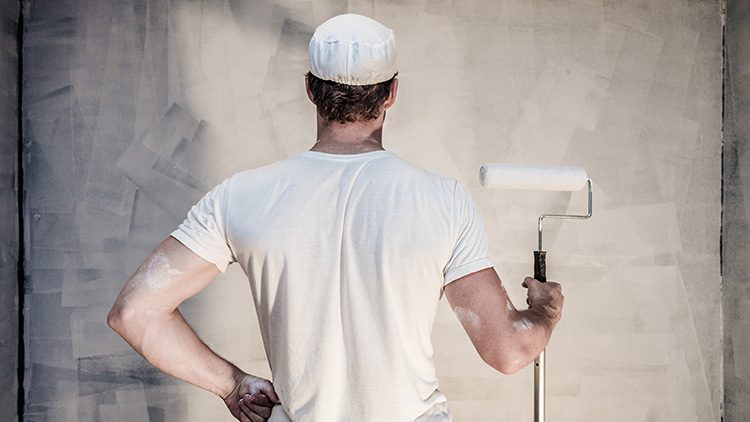PINTURA DE INTERIORES CON ACABADOS PROFESIONALES LA RAPITA